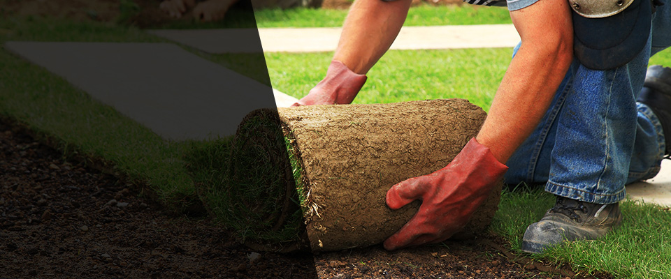 Amarillo Landscapers